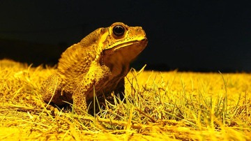 IMG_6680.jpg