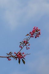158426F1-7538-49CA-8469-FA8449E02DBB/L0/001