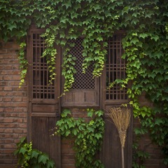 IMG_2103_4