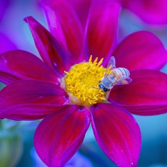 IMG_9267_1