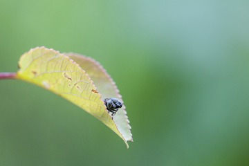 IMG_6704_1