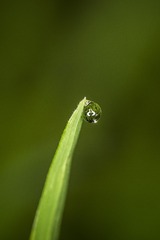 IMG_8072_1