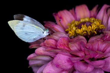 IMG_8634_3