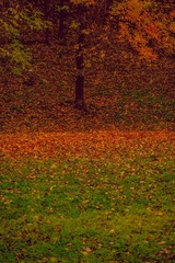 IMG_6072a