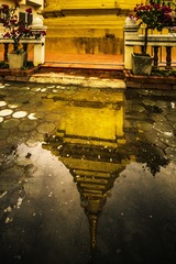 IMG_2515a