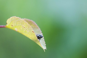 IMG_6704_1