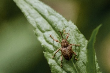 IMG_6953_1