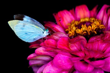 IMG_8634_3