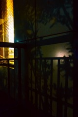 IMG_8446a