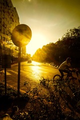 IMG_0295a