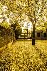 IMG_0589_1