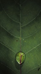 IMG_8776_1a