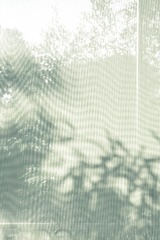 IMG_7006_1a