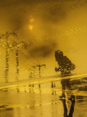 IMG_5490_2a