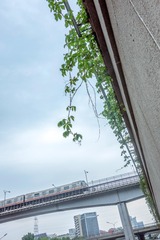 DSC01171_1a