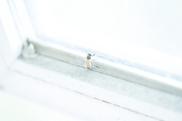 7C1F9077_2