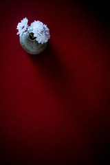 IMG_7675_1