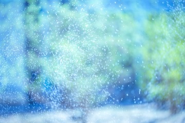 IMG_4574_1
