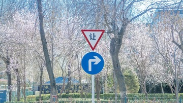 IMG_7763a