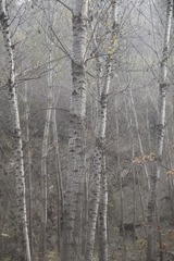 _DSC0807