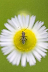 IMG_4428_2