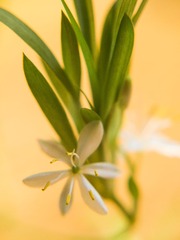 IMG_2478_1