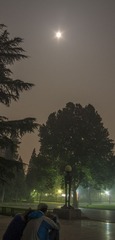 IMG_3125_1