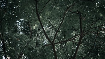 1419709