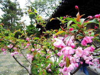 IMG_7795_