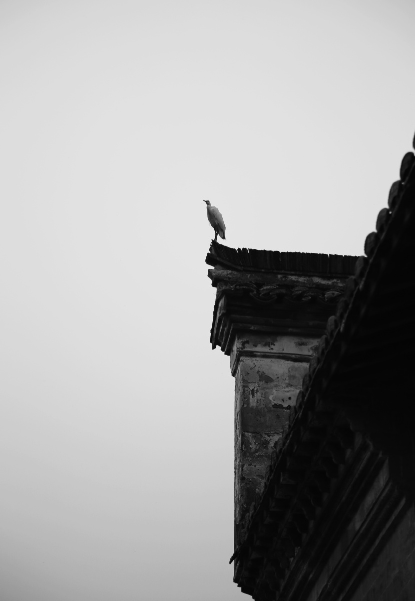 好似雄鹰一样俯视众生