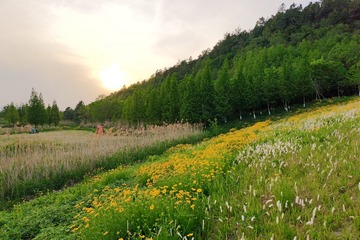Mix_20250502_202530
