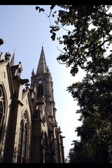 IMG_1219.jpg
