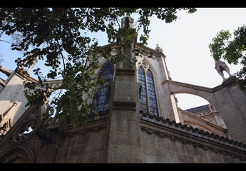 IMG_1267.jpg
