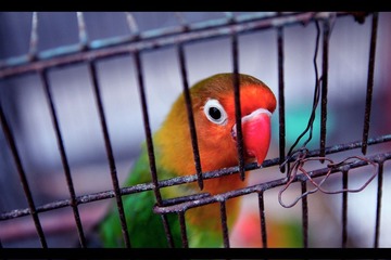 color3.jpg