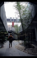 三里屯的哥.jpg