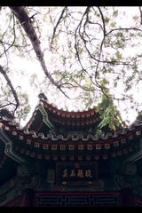 颐和.jpg