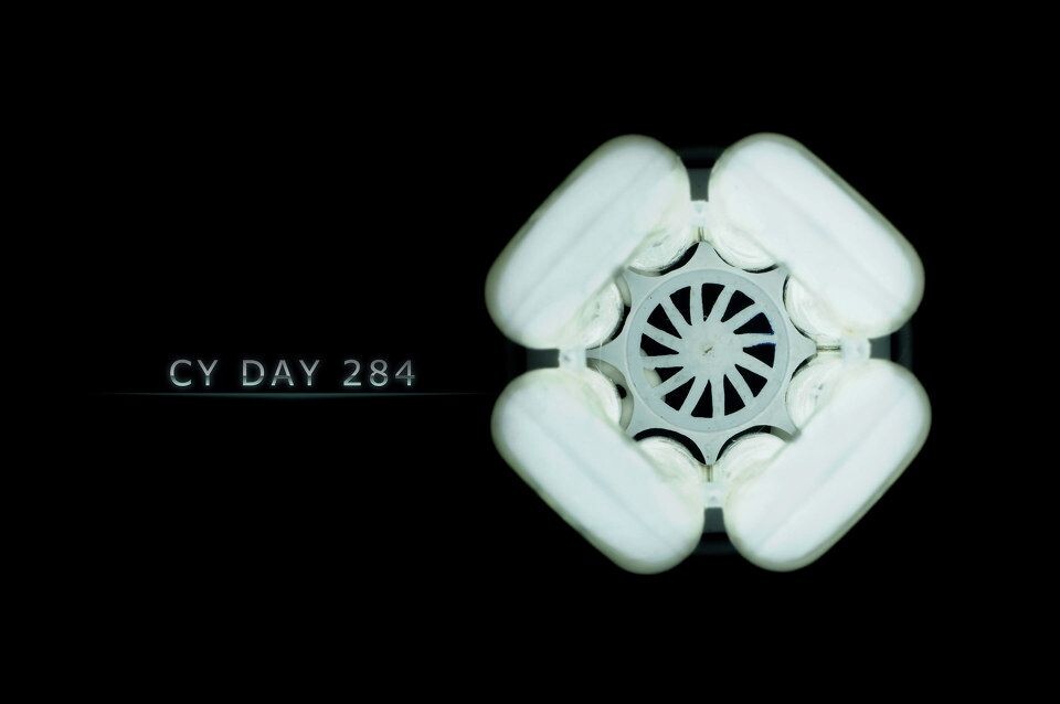 里面（Day 284）<br />
今天是肿么了~~~都不知道拍神马~~让我一圈好找~~~