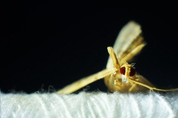 DSC04811副本.jpg