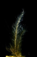 DSC05670副本.jpg