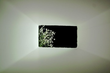 DSC01123-2.jpg