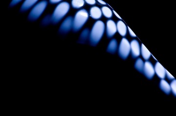 _DSC0326.jpg