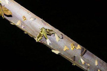 _DSC5833