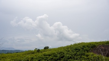 85B301F6-3754-4F24-9E27-4171756E8210/L0/001