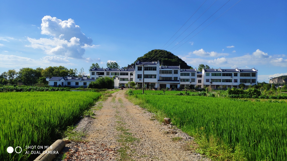 绿树村边合,青山郭外斜.