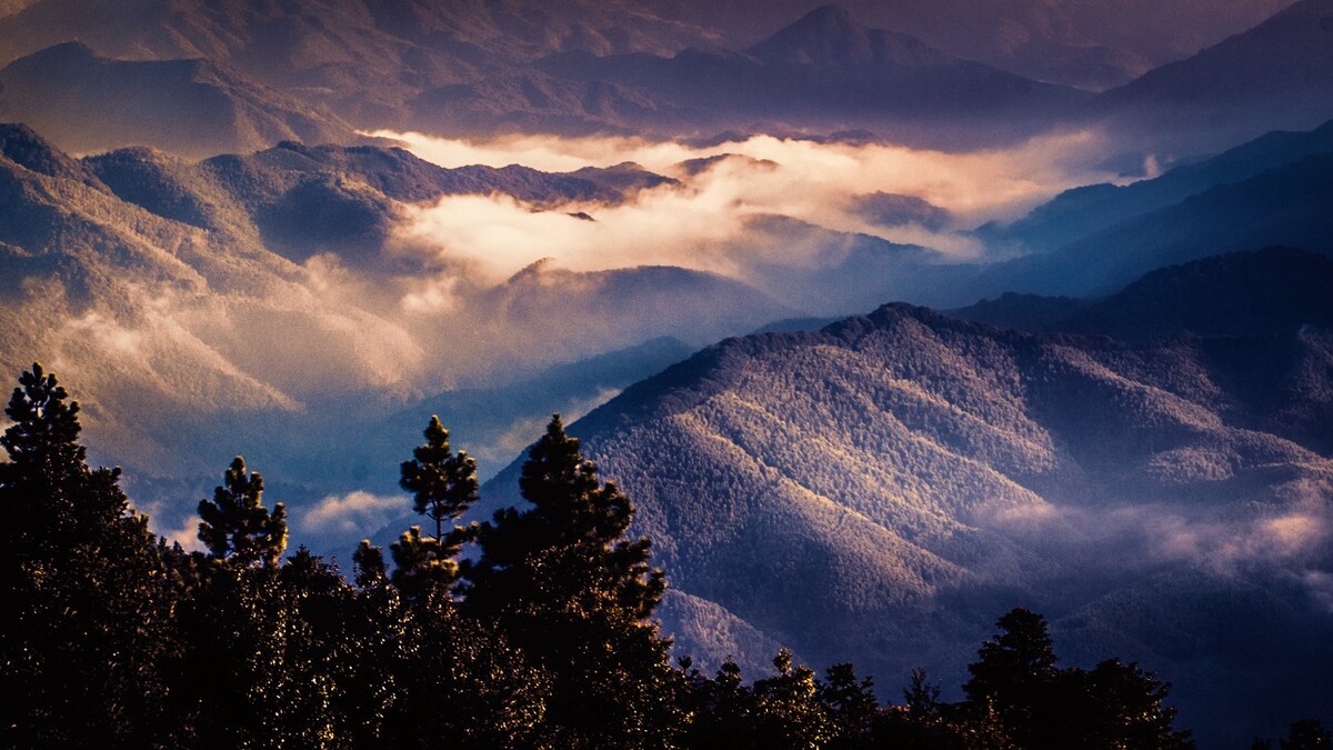 土楼高山