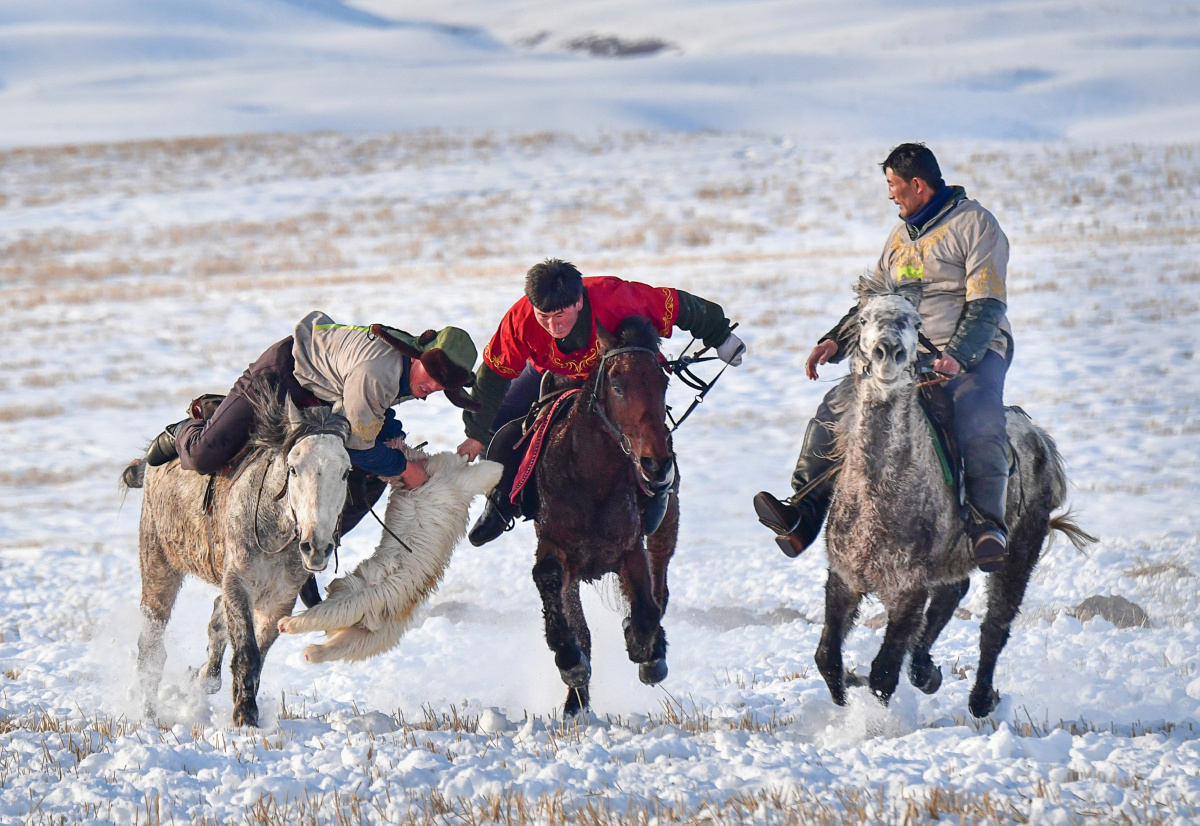 叼羊,不仅是哈萨克族牧民所进行的一项扣人心弦的马上游戏,而且是一种