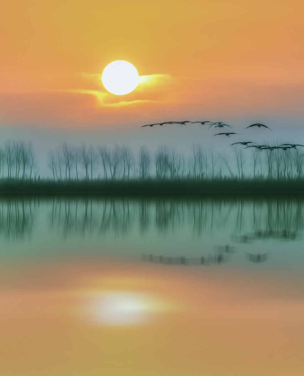 盐城丹顶鹤保护区 - 第一缕曙光 - 图虫