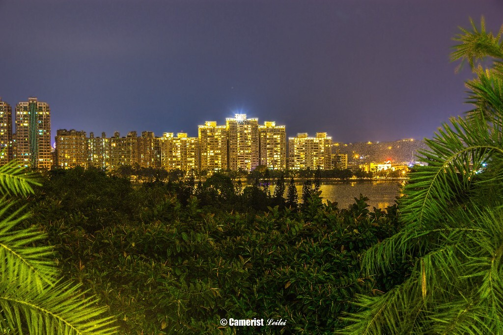 夜驻圆山眺高雄