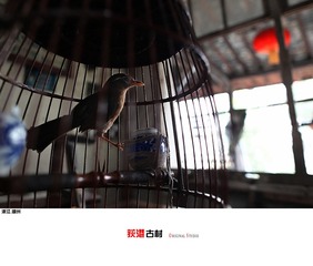 荻港古村 (10)