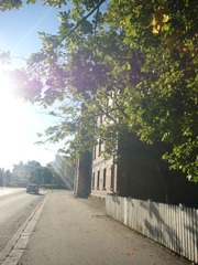 P1020018
